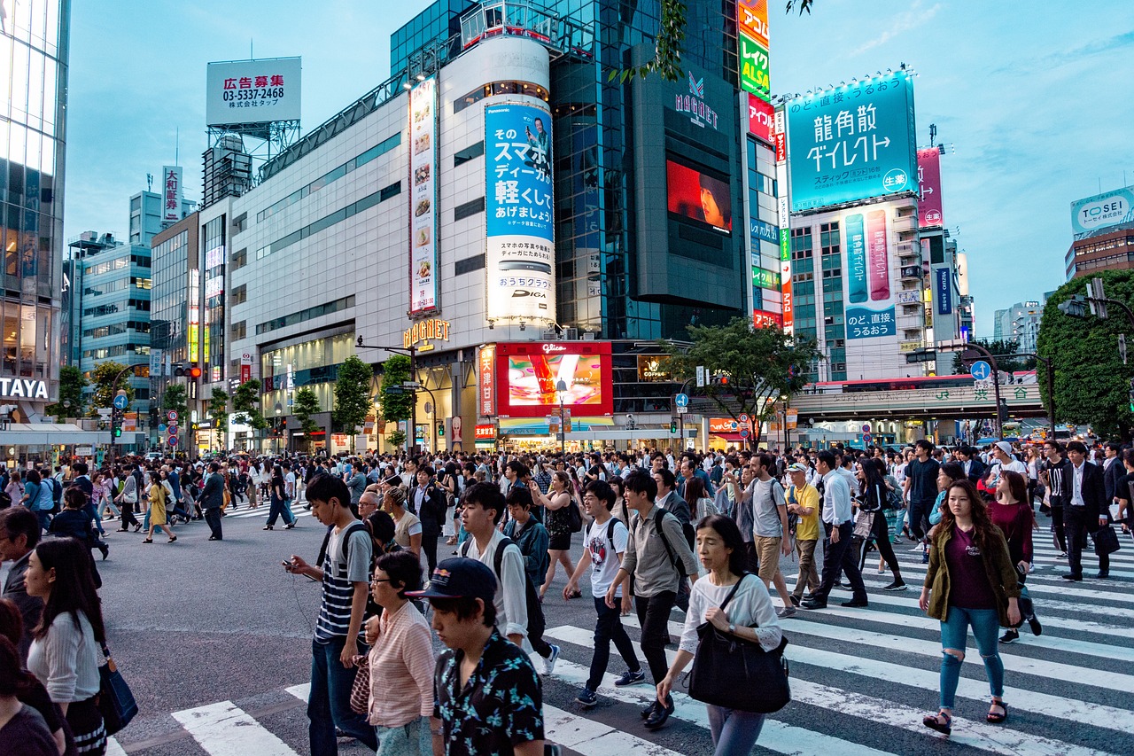 Tokyo Guide Tours